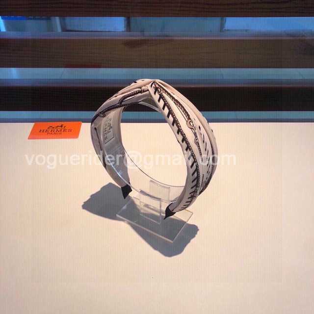 HH10010 Hermes HH10010 Hermes