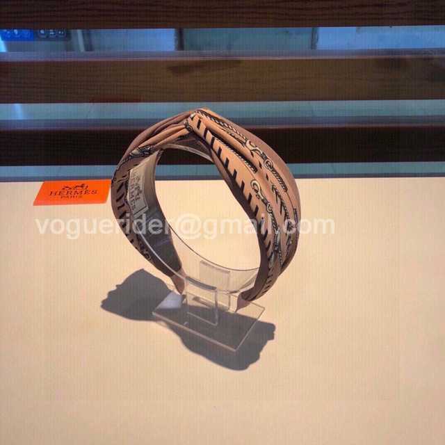 HH10010 Hermes HH10010 Hermes