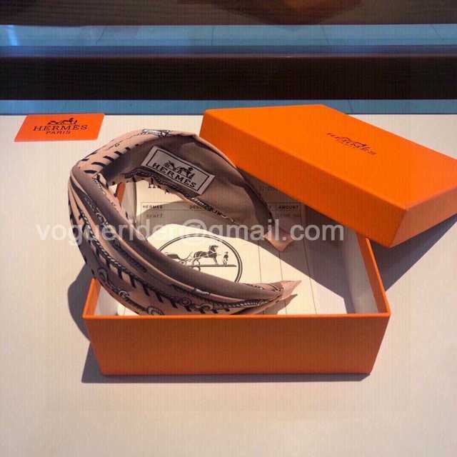 HH10010 Hermes HH10010 Hermes