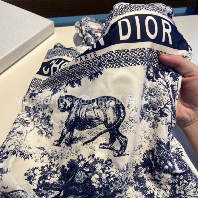 WE10044 Dior WE10044 Dior